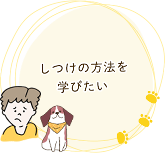 しつけの方法を学びたい