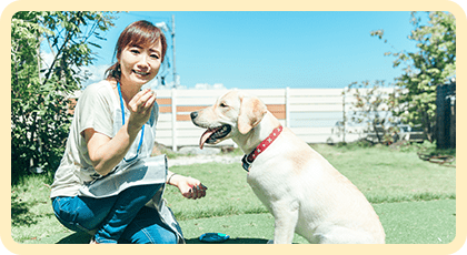 ワンちゃんだけでなく、飼い主様へのレクチャーも！